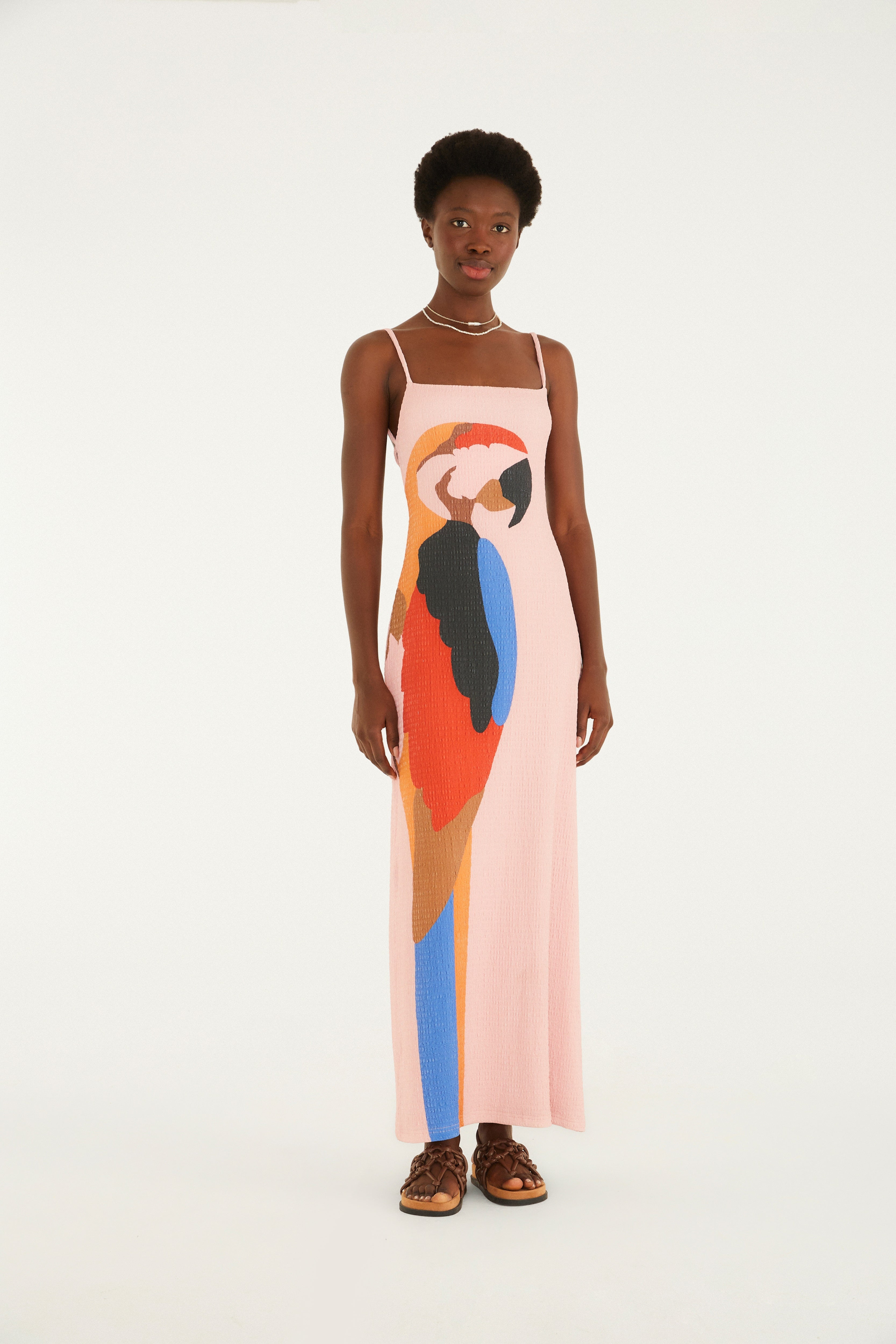 Araraquara Print Midi Dress