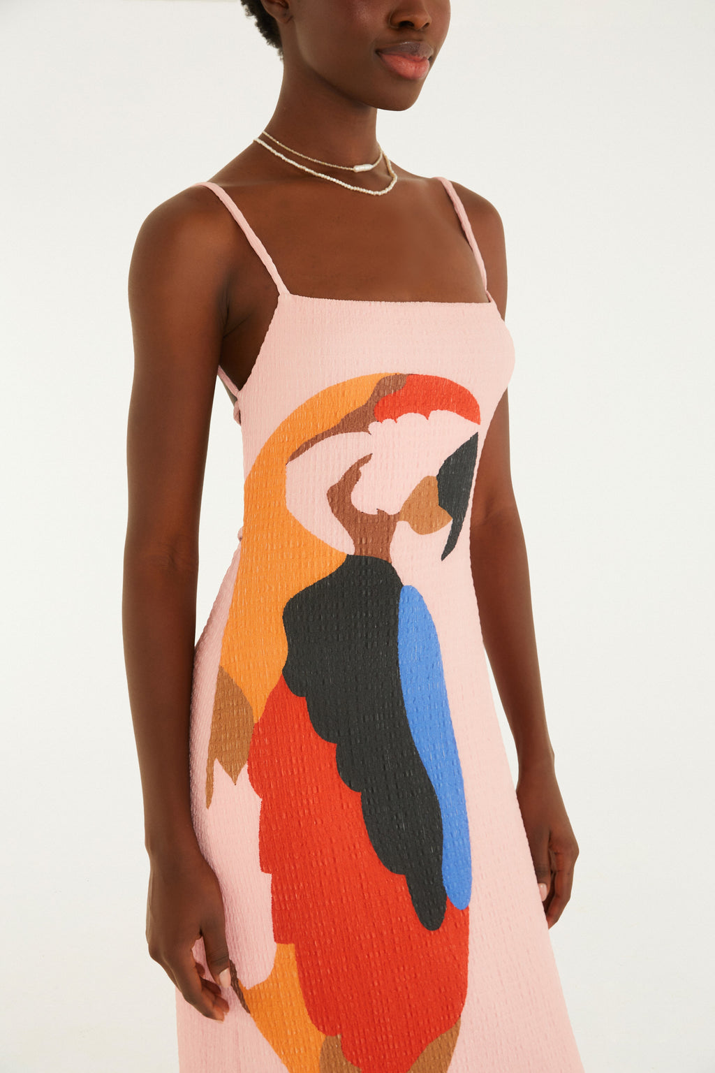 Araraquara Print Midi Dress