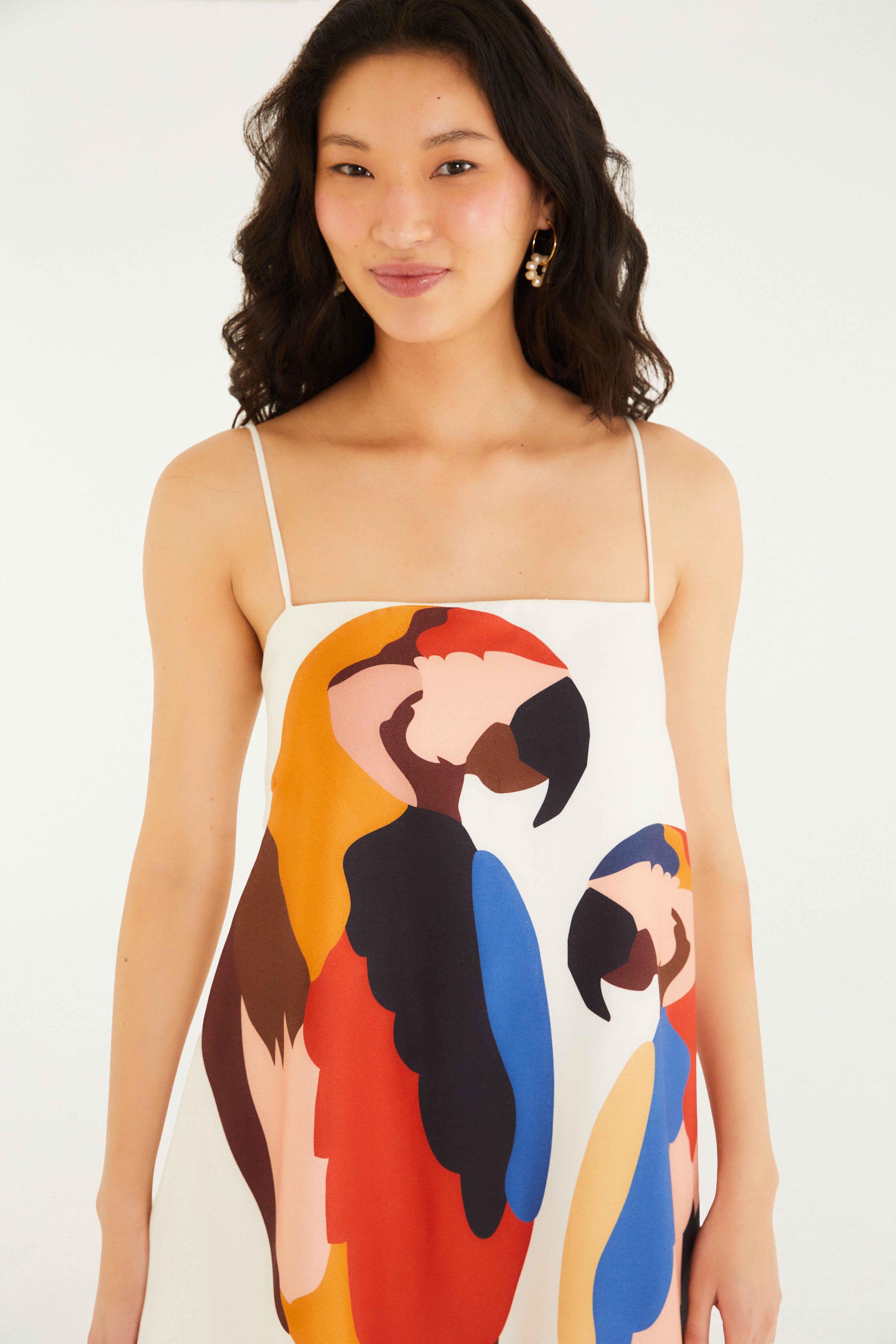 Short Araraquara Print Dress